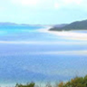 Meet your Posher, Tony